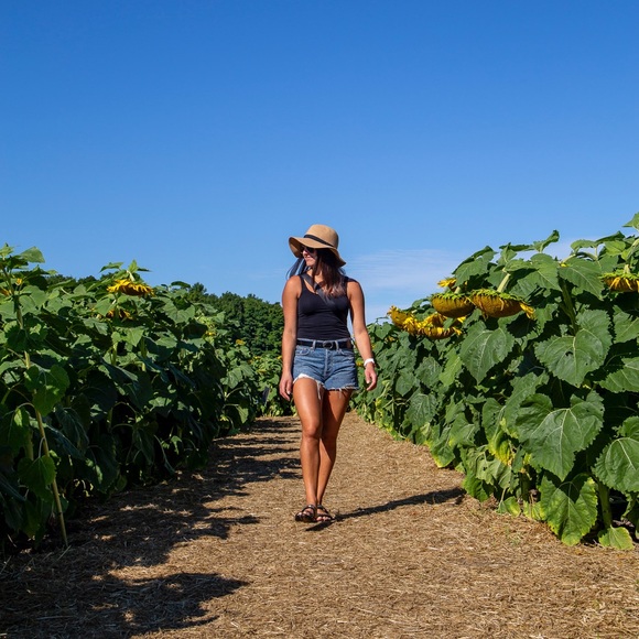 Meet Cass - Picture 2 of 6